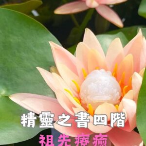 身體元素精靈四階 : 祖先療癒