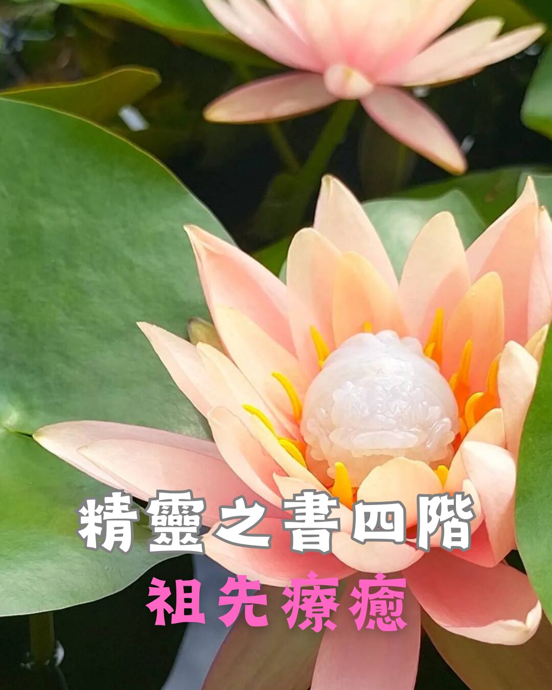 身體元素精靈四階 : 祖先療癒