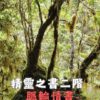身體元素精靈二階 : 脈輪情書