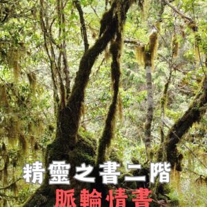 身體元素精靈二階 : 脈輪情書