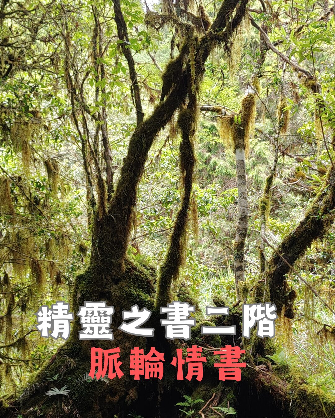 身體元素精靈二階 : 脈輪情書